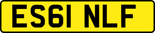 ES61NLF