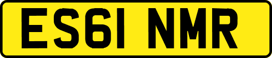 ES61NMR