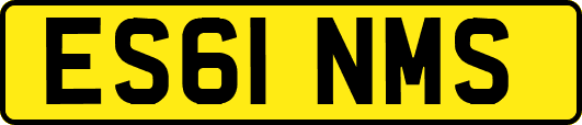 ES61NMS