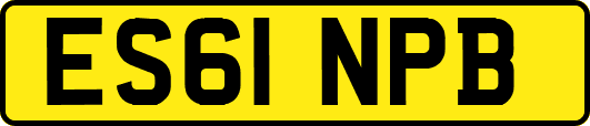 ES61NPB