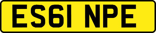 ES61NPE