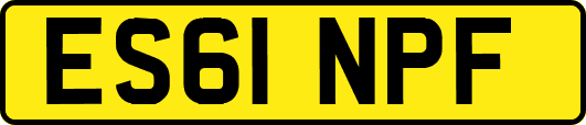 ES61NPF