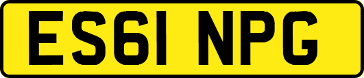 ES61NPG
