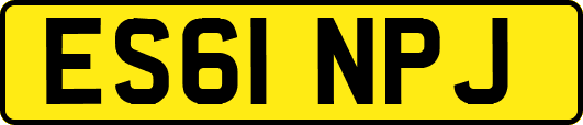 ES61NPJ