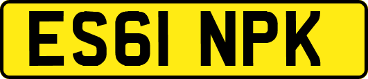 ES61NPK