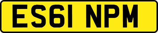 ES61NPM