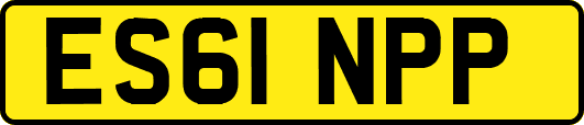 ES61NPP
