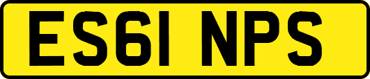 ES61NPS