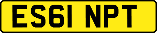 ES61NPT