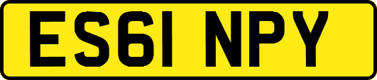 ES61NPY