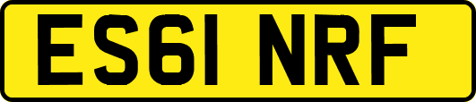 ES61NRF