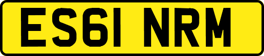 ES61NRM