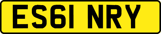 ES61NRY