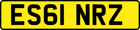 ES61NRZ