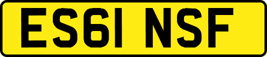 ES61NSF