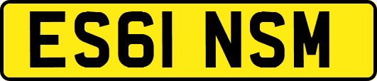 ES61NSM