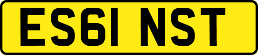 ES61NST
