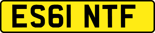 ES61NTF