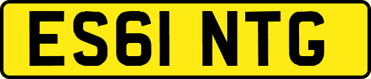 ES61NTG
