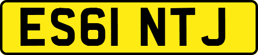 ES61NTJ