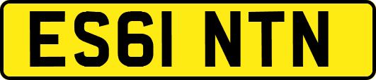 ES61NTN