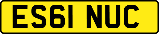 ES61NUC