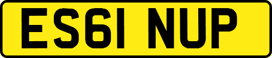 ES61NUP