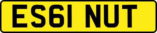 ES61NUT