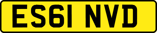 ES61NVD