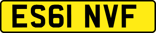 ES61NVF