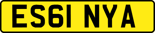 ES61NYA
