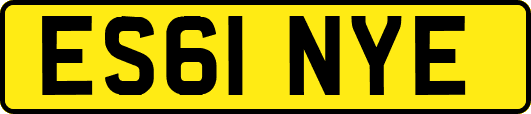 ES61NYE