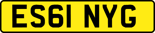 ES61NYG
