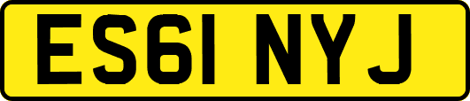 ES61NYJ