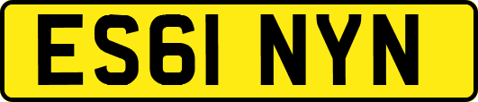 ES61NYN