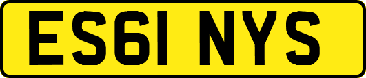 ES61NYS