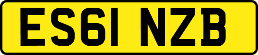 ES61NZB