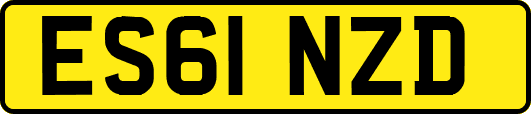 ES61NZD
