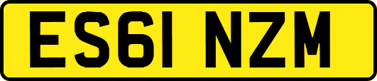 ES61NZM