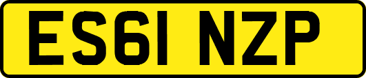 ES61NZP