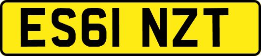 ES61NZT