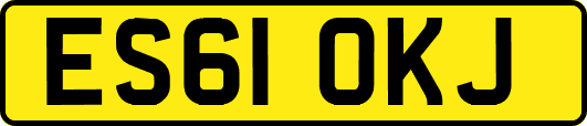 ES61OKJ