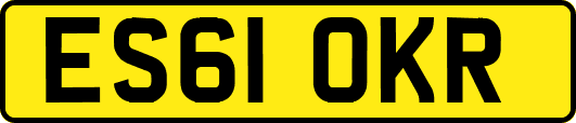ES61OKR