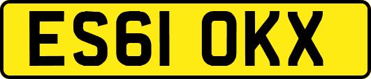 ES61OKX