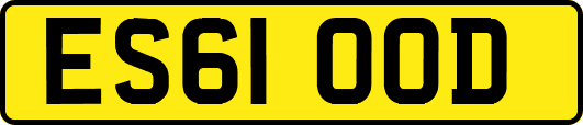 ES61OOD