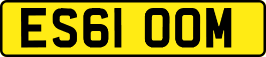 ES61OOM