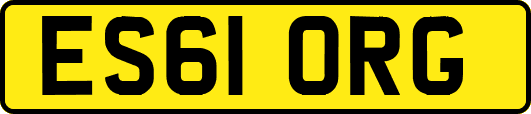 ES61ORG
