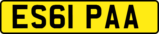 ES61PAA