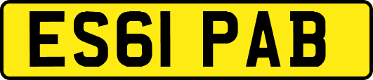 ES61PAB