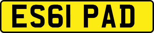 ES61PAD